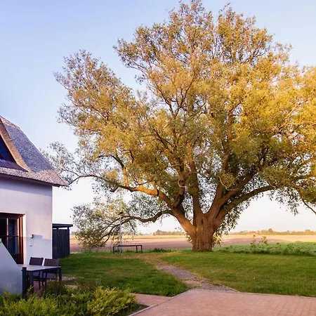 Ferienhaus Erholung Am Deich- Ihre In Tossens