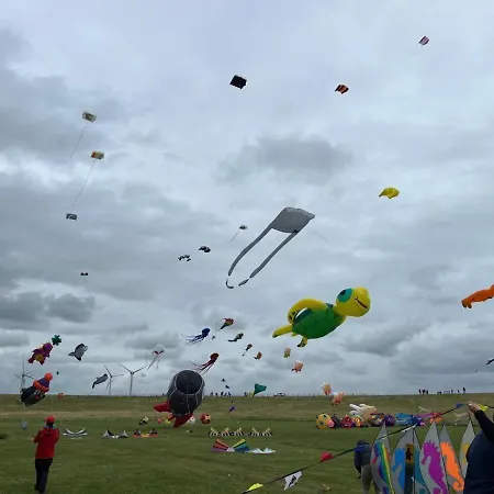 Erholung Am Deich- Ihre In Ferienhaus